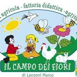 Il Campo Dei Fiori