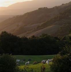 Agriturismo Podere Paugnano