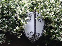 B&B Palazzo Ronchelli Location per eventi