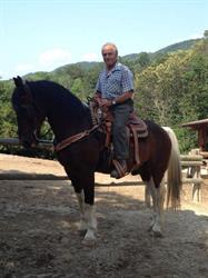 V-RANCH CENTRO TURISMO EQUESTRE