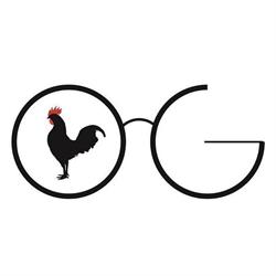 ottica gallazzi