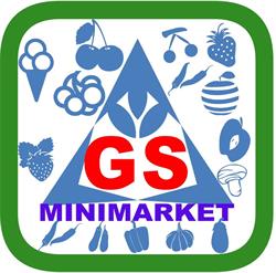 GS minimarket