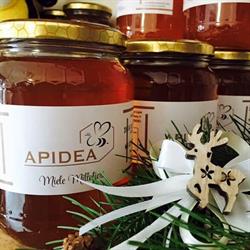 Apidea