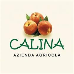 Azienda Agricola Calina