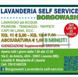 BORGOWASH