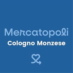 Mercatopoli Cologno Monzese