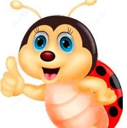 Scuola Dell' Infanzia La Coccinella Cooperativa Sociale Onlus A Respon