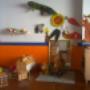 Giochi Asilo