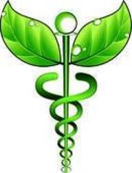 Yoga Ayurveda Naturopatia Massaggi Codroipo