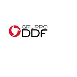 Gruppo Ddf