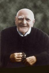 san Gaetano Catanoso