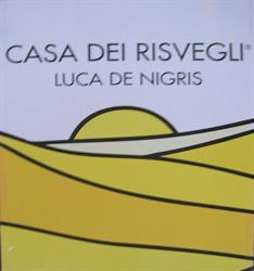 Casa dei risvegli Luca De Nigris