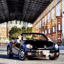 Classic S.A.S Di Talladira Antonio & C.