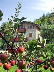 Casa Martina