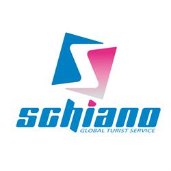 Noleggio Bus Ischia e Napoli Schiano Bus