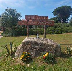 Agriturismo Il Vecchio Fontanile