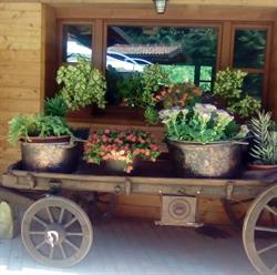 Agriturismo Fontana Nata