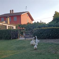 Agriturismo Rosso di Sera