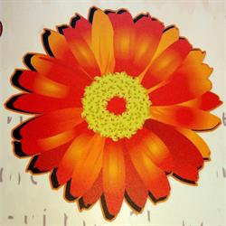 Fiorista Il 7 Di Fiori