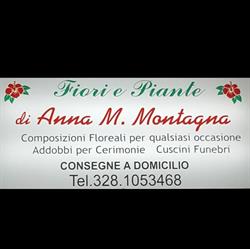 Fiori e Piante di Anna Maria Montagna