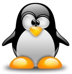 Asilo Nido Il Pinguino