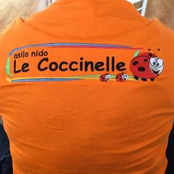 Le Coccinelle