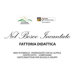 Nel Bosco Incantato - Fattoria didattica - Nido in famiglia - Alpaca Veneto Italia