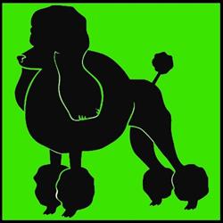 Vanity pets toelettatura cani