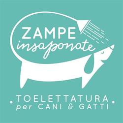 Zampe Insaponate Toelettatura
