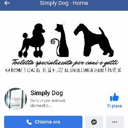 Simply Dog