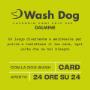 Washdog Dalmine sempre aperto