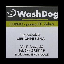 Wash Dog Curno