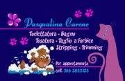 Lovely dog pelosi e contenti
