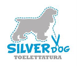 Toelettatura Silver Dog di Luca Bevilacqua