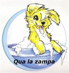 Toelettatura Qua la zampa