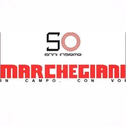 MARCHEGIANI - Pontina Trattori srl