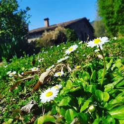 Agriturismo Borgo del Sole