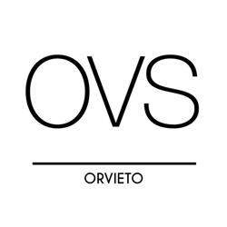 OVS