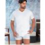 T-SHIRT Uomo Art.AUGUSTO Scollo V M/Manica
Intimo UOMO 100% Cotone
Colori disponibili : BIANCO
Made in ITALY