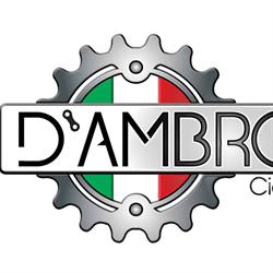 D'Ambrosio Bike