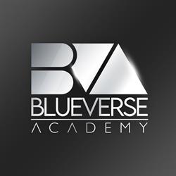 Blueverse Academy