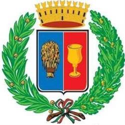 Comune Di Copparo