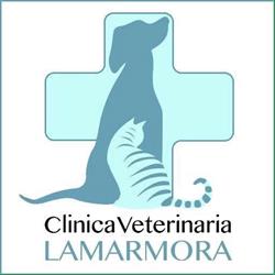 Clinica Veterinaria Lamarmora