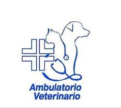 Ambulatorio Veterinario dott. Addari F.M.