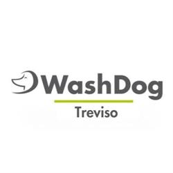 Wash Dog Treviso