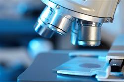 Bioanalisi Srl Spello - Perugia
