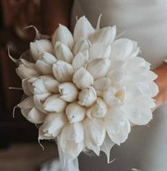 IL Tulipano wedding Flower Events