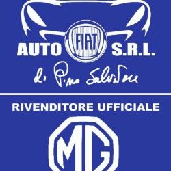 Pino Salvatore Automobili Srl