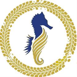 Wedding Car and Transportation - COOPERATIVA SEAHORSE SRL