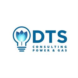 DTS SRL